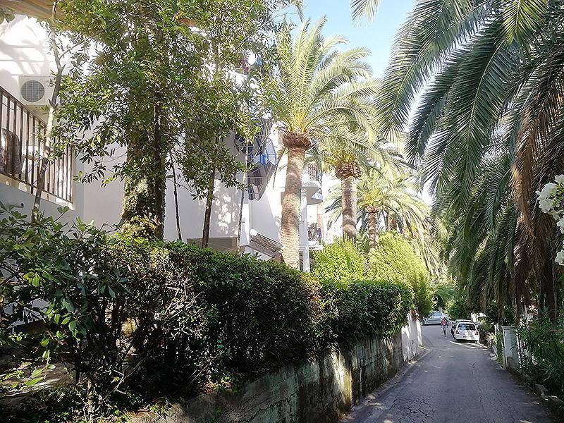 Apartmani I Sobe Goca Херцег Нови Екстериор снимка